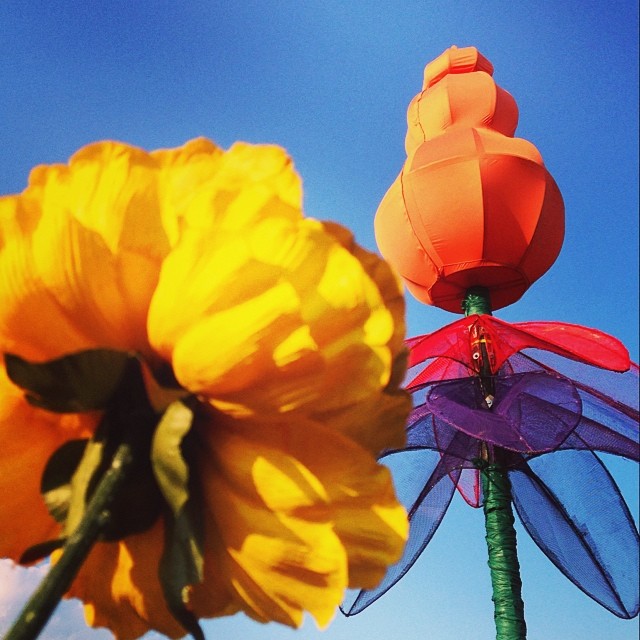 Flower Art Installation | Photo by Katie Passarati