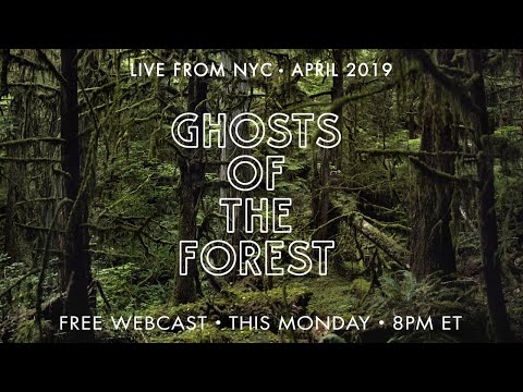 Ghosts of the Forest April 13, 2019 United Palace Theatre in New York City