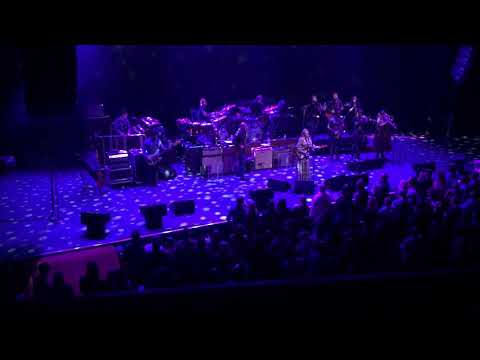 Tedeschi Trucks Band Chicago Theatre January 18, 2020: Midnight in Harlem