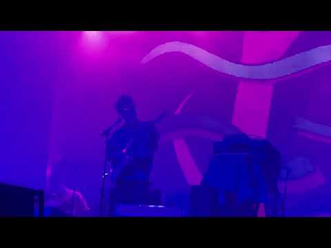 Animal Collective @ Desert Daze FULL SET 10-11-2019