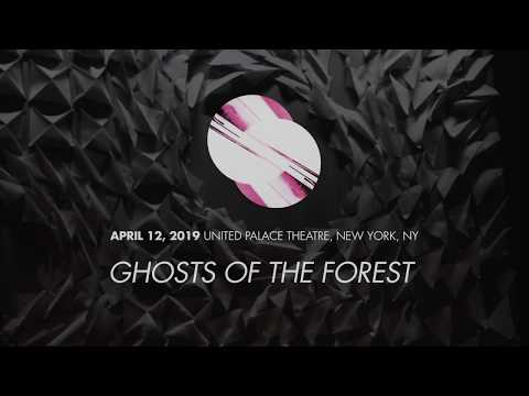 Ghosts of the Forest - 04/12/2019 - &quot;Ghosts of the Forest&quot;