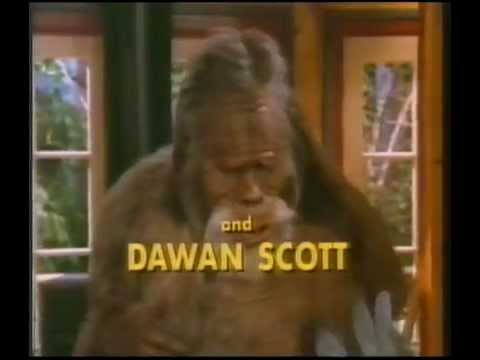 Harry and the Hendersons Theme