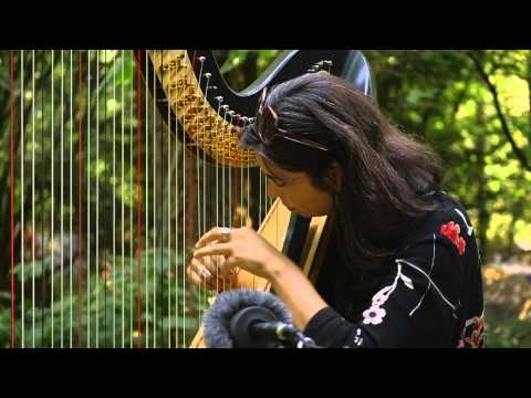 The Barr Brothers - Love Ain&#039;t Enough (Live on KEXP @Pickathon)