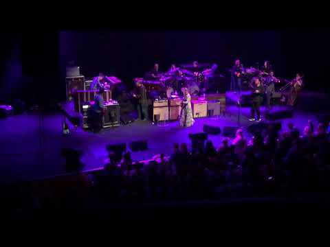 Tedeschi Trucks Band Chicago Theatre January 18, 2020: Down in the Bottom