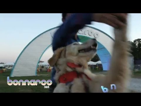 Bonnaroo 2013 Dates Revealed By Carrie The Dancing Merengue Dog | Bonnaroo365