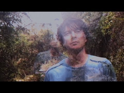 Panda Bear - playing the long game (Official Video)