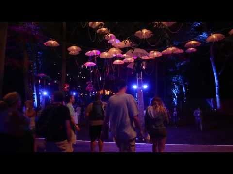 Firefly Music Festival 2013 - Mash-up