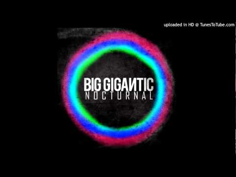 Big Gigantic -- It&#039;s Going Down