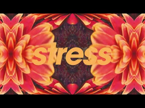 Tycho - Stress (Official Audio)