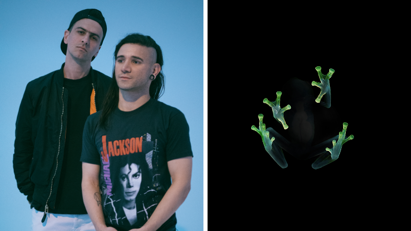 Skrillex boys. Скриллекс дог. Брайан нойз. Break Law Dog Blood Skrillex.