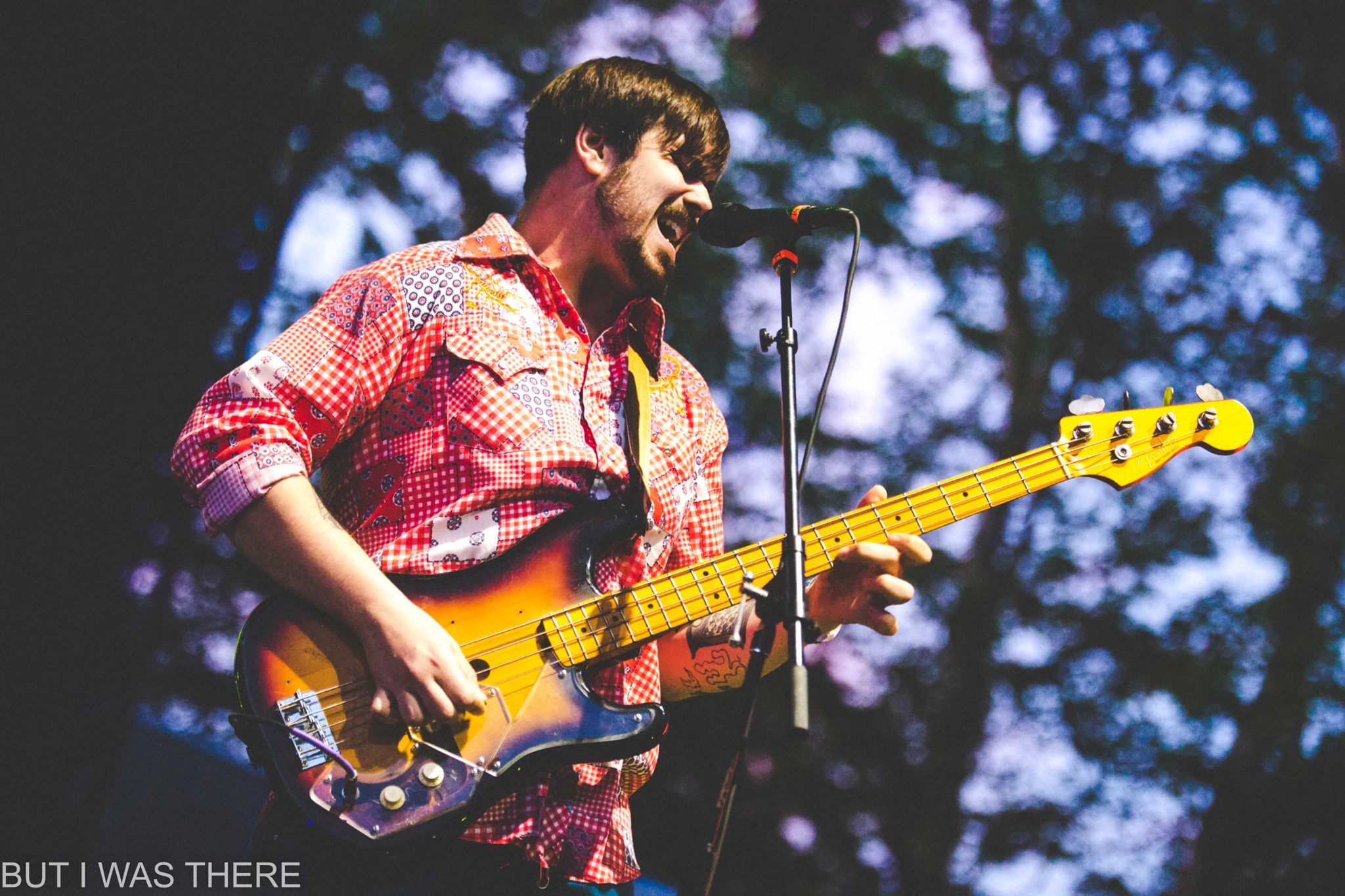 parquet courts at central park summerstage live music blog but i was there photography 2019